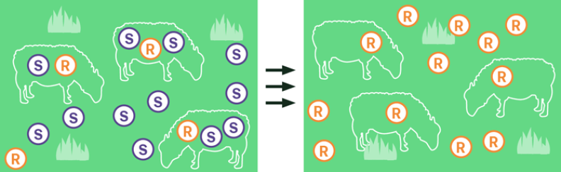 Dose and move illustration 