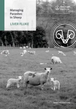 Liver Fluke factsheet cover