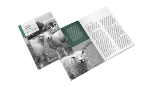 Sheep Round Worm cover