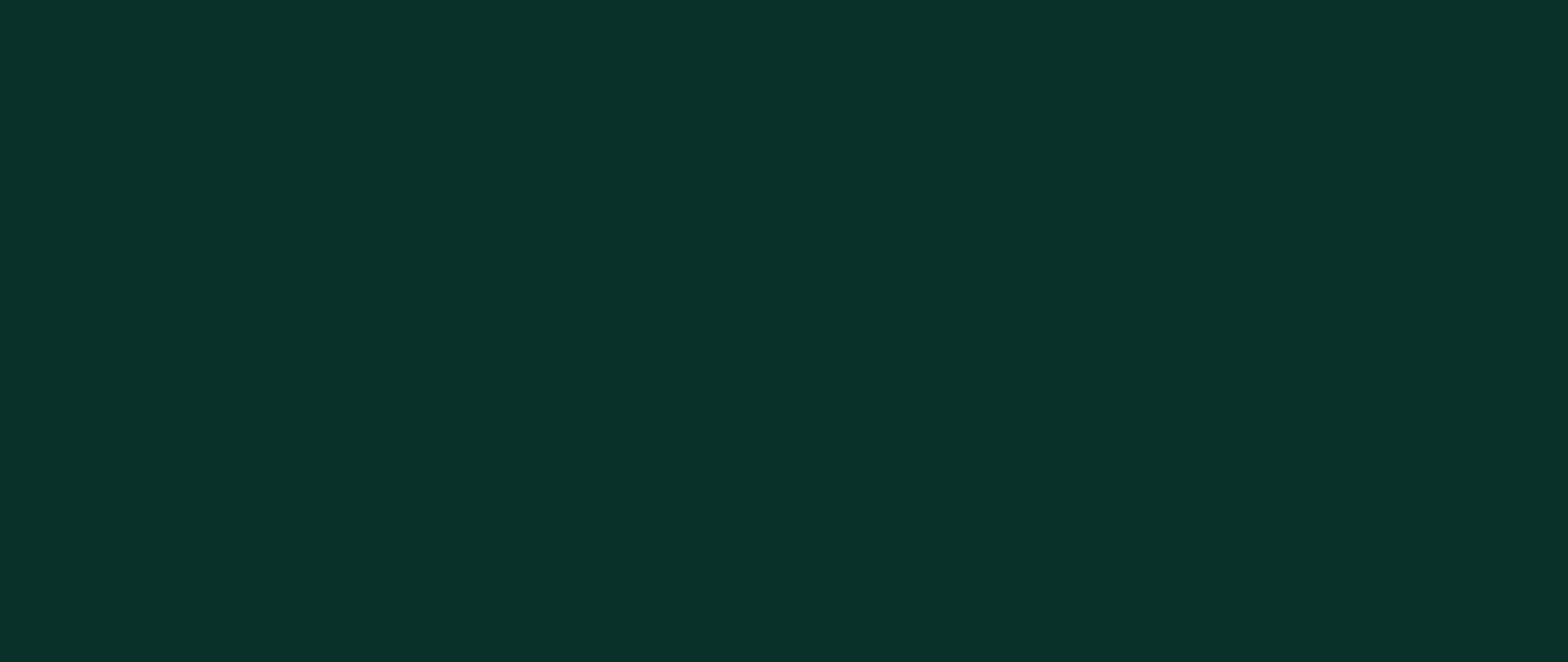 BI dark green