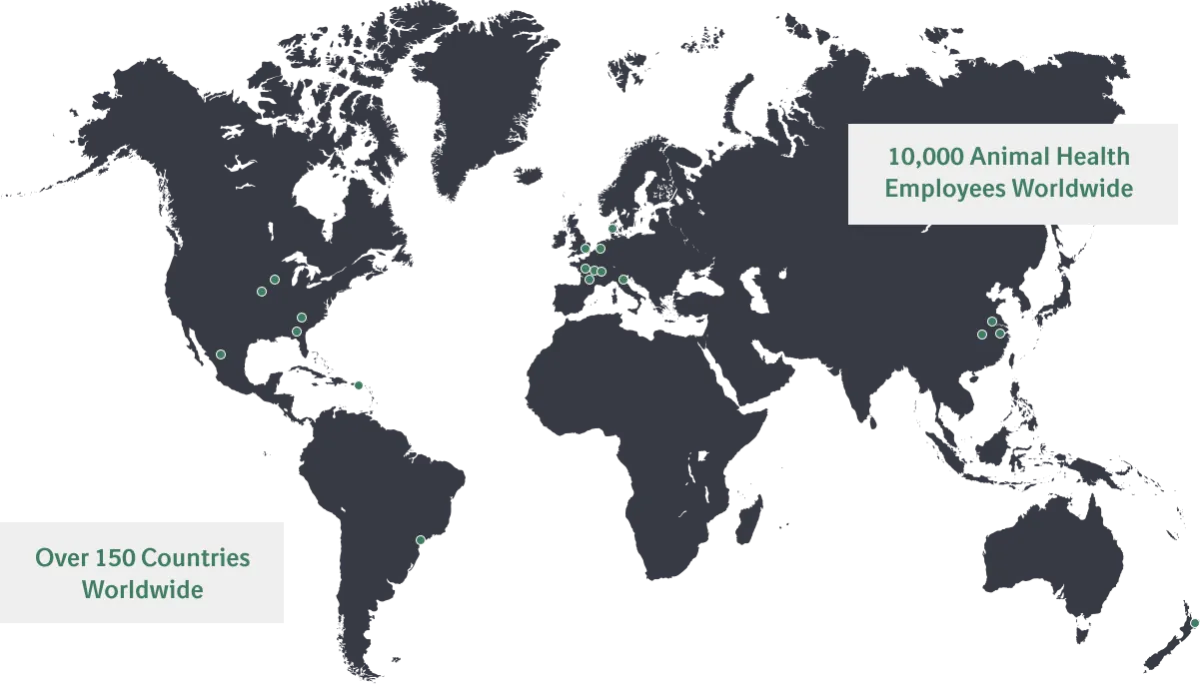 Map with dots for footprint